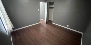 2415 Jerden For Rent Gallery 15