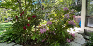 Gorgeous Lakeridge Shores Home Available Now Gorgeous Lakeridge Shores Home Available Now Gallery 36