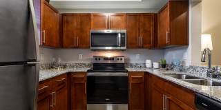 Portofino Cove Gallery 19