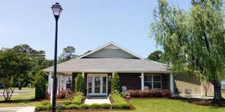 North Chase Gallery 5
