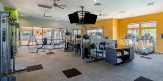 Liv Northgate Gallery 7