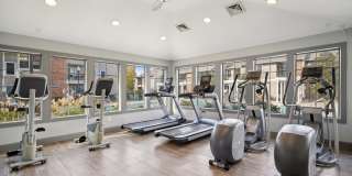 Harmony on Main Gallery 22