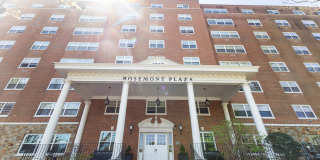 Rosemont Plaza Gallery 13
