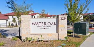 Water Oak Gallery 74