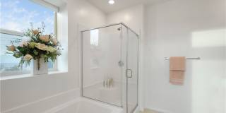 225 Steely Gallery 21