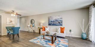 Renaissance Gallery 17