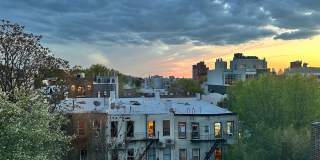 288 19th Street Gallery 20