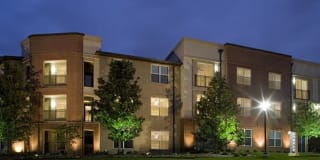 City North Gallery 8