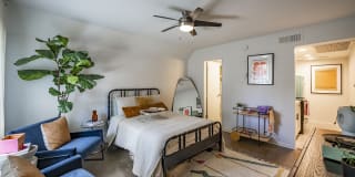 Polanco Apartments Gallery 14