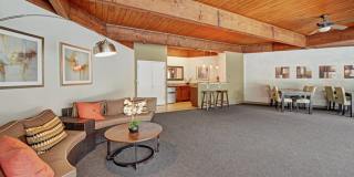 Copper Stone Gallery 17