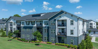 The Aster Gallery 41