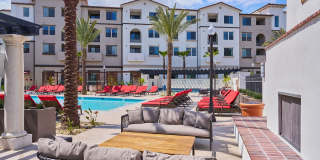 Vineyards Gallery 60