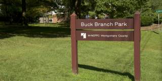 Sparkling and Spacious Gallery 43