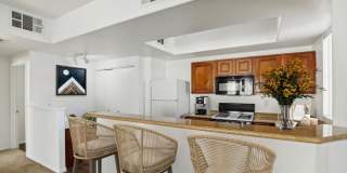 Venicia Gallery 89