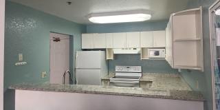 535 Pierce St Gallery 6