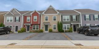 608 THUMPER Drive Gallery 1
