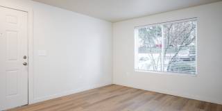 Glen Ridge Gallery 12