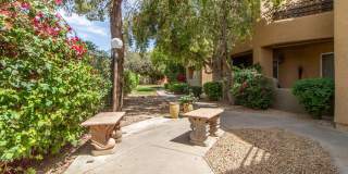 Great 2 bed/2 bath Condo Gallery 20