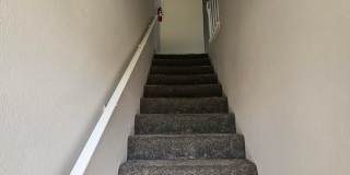 Westdale Court Gallery 19