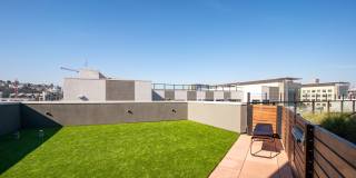 The Martin Gallery 25