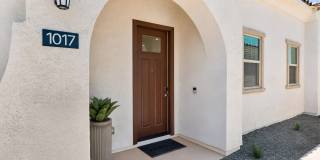 Yardly Laveen Spectrum Gallery 23