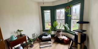 Newly renovated spacious 4 bedroom home in Sheraden - AVAILABLE OCTOBER! Gallery 26