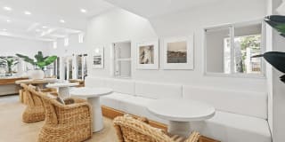 Coconut Palm Club Gallery 30