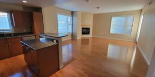 Luxury, Spacious 1 bedroom Apartment in Boulder at the Famous Peloton Gallery 4
