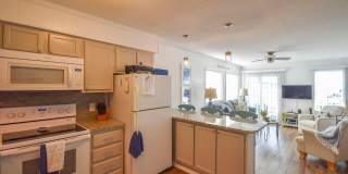 301 E Commerce Way Road unit: 329 Gallery 6