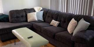 17 Clarence Avenue Gallery 19