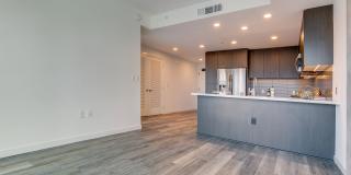 The Merian Gallery 41