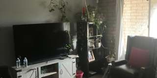 4214 W Lewis Avenue Gallery 5