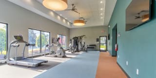 Cypress Run Gallery 5