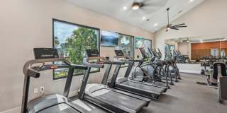 The Sophia Gallery 30