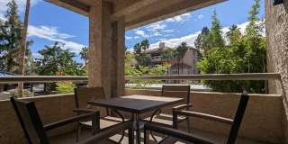 5122 N 31st Way unit: 221 Gallery 1