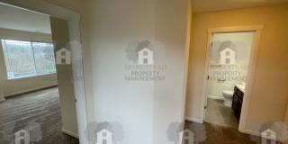 476 Gallery 11