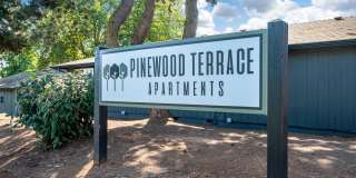 Pinewood Terrace Gallery 16