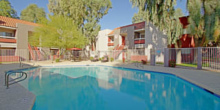 544 Southern Gallery 29