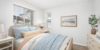 The Strand Gallery 61