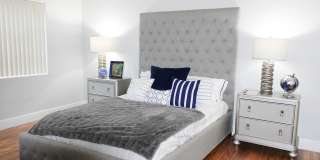 Colony at Dadeland Gallery 21