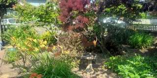 Beautiful Classic Home in Columbia Neighborhood Gallery 35