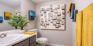 Avana Chandler Gallery 7