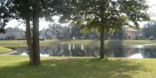 1603 CANOPY OAKS Drive Gallery 5