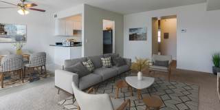 Lake Forest Apartments Gallery 13