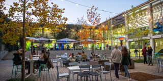 1127 S Dupre Gallery 8