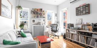 258 Halsey Street Gallery 1