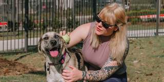 Westloop at the Diamond Interchange Gallery 92