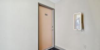 Buena Vista Gallery 60