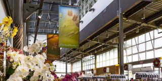 Camden Highland Village Gallery 62