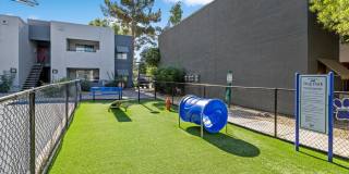 Chandler Ridge Gallery 19